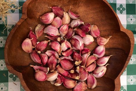 Garlic